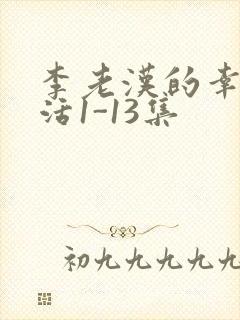 李老汉的幸福生活1-13集