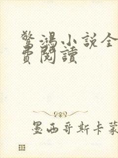 惊鸿小说全文免费阅读