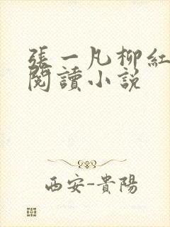 张一凡柳红免费阅读小说封面