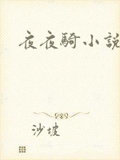 夜夜骑小说