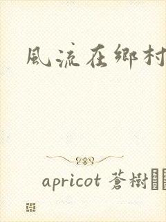 风流在乡村封面