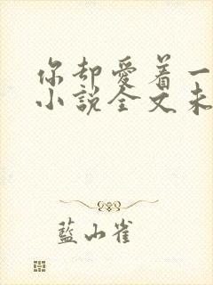 你却爱着一个他小说全文未删减免费封面