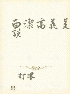 白洁高义美红小说封面