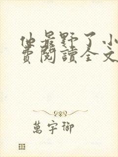 他最野了小说免费阅读全文封面