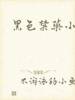 黑色禁药小说封面