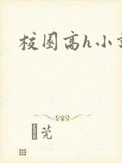 校园高h小说封面