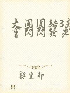 大团圆结3亲情会闪闪发光封面