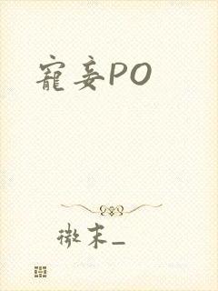 宠妾PO