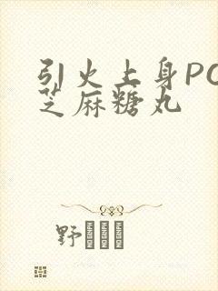 引火上身POP芝麻糖丸