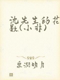 沈先生的花式调数(小非)封面