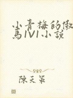 小青梅的傲娇竹马1V1小说