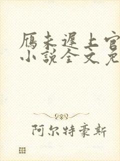 雁未迟上官穿越小说全文免费阅读