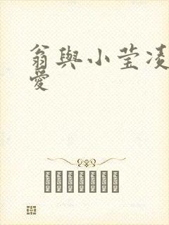 翁与小莹凌晨欢爱封面