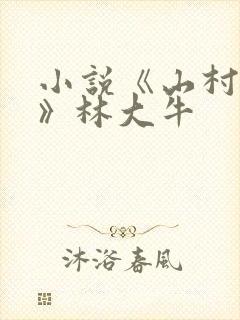 小说《山村情事》林大牛