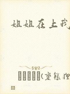 姐姐在上我在下
