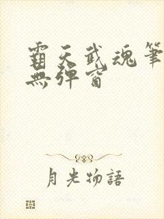 霸天武魂笔趣阁无弹窗