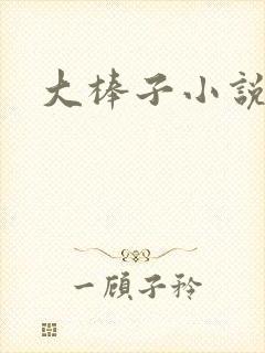 大棒子小说