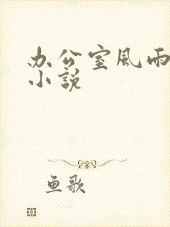 办公室风雨完整小说封面