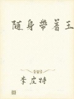 随身带着玉如意封面