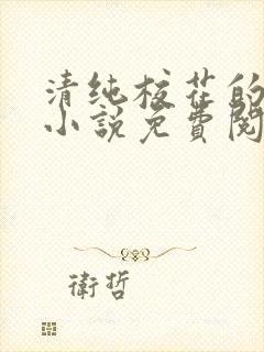 清纯校花的秘密小说免费阅读