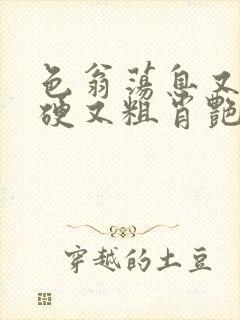 色翁荡息又大又硬又粗肖艳封面