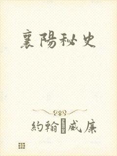 襄阳秘史