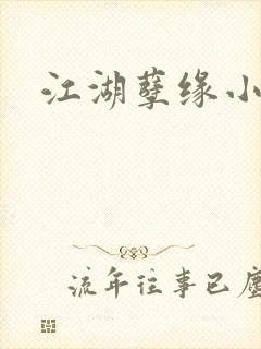 江湖孽缘小说封面