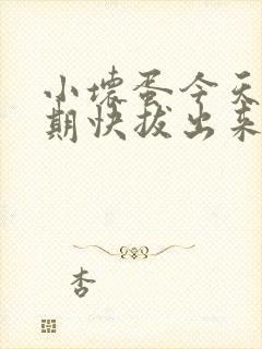 小坏蛋今天危险期快拔出来