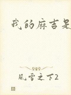 我的麻吉是猴子