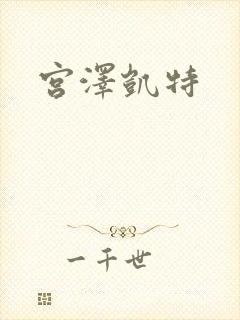 宫泽凯特封面