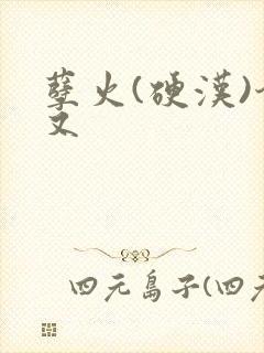 孽火(硬汉)今又