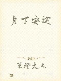 月下安途