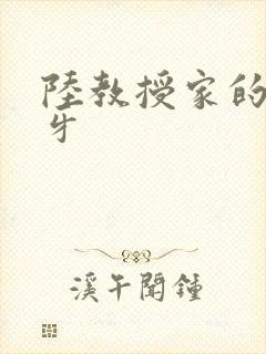 陆教授家的小月牙封面