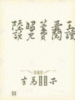 陆昭菱晋王的小说免费阅读