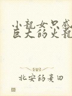 小龙女只感觉那巨大的火龙枪封面