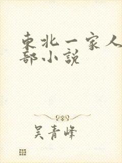 东北一家人第一部小说封面