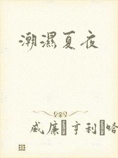潮湿夏夜封面