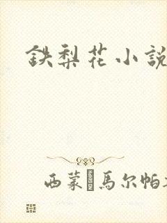 铁梨花小说封面