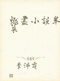 燃尽小说半截白菜