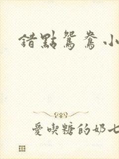 错点鸳鸯小说