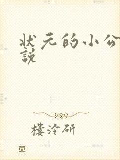 状元的小公主小说