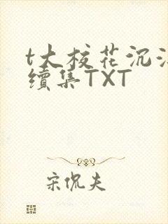 t大校花沉浮录续集TXT