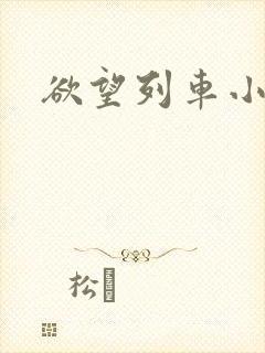 欲望列车小说