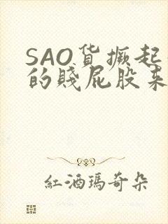 SAO货撅起你的贱屁股来