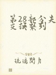 第28部分夫妇交换系列封面