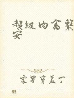 超级肉禽系统保安