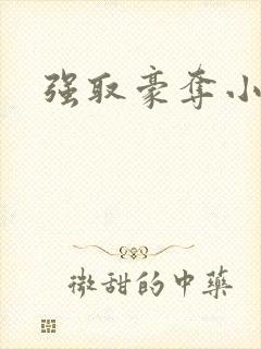 强取豪夺小说封面