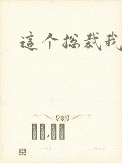 这个总裁我要了封面