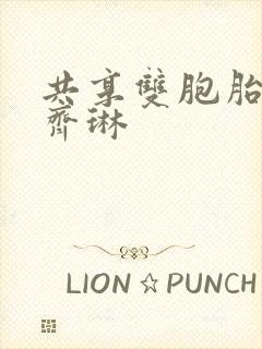 共享双胞胎齐娜齐琳封面