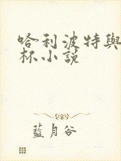 哈利波特与火焰杯小说封面